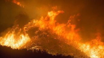 Deforestación: La espiral del fuego en los bosques