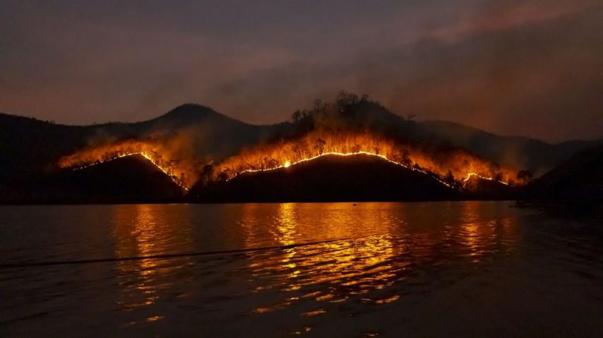 La Amazonía registró más de 50.000 focos de incendios en 2024