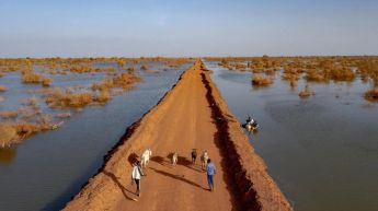 Crisis climática y desplazamiento: ¿Estamos ignorando el llamado de ayuda de los más vulnerables?