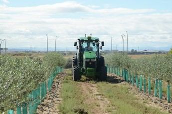 Ayudas para renovar maquinaria agrícola afectada por la dana en España