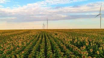 Amazon lanza 17 nuevos proyectos de energía renovable en España