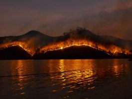 La Amazonía registró más de 50.000 focos de incendios en 2024